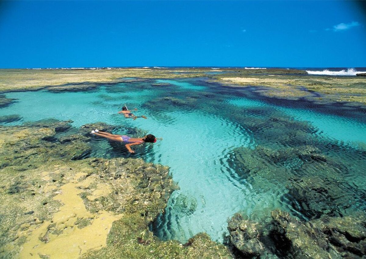 Mergulho nas Piscinas Naturais (saídas do Litoral Norte)