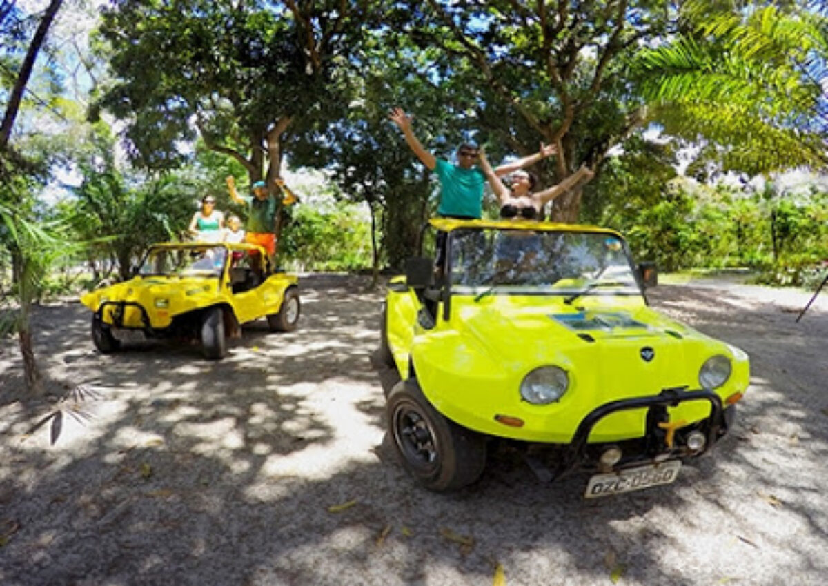 Passeio de Buggy (saídas do Litoral Norte)