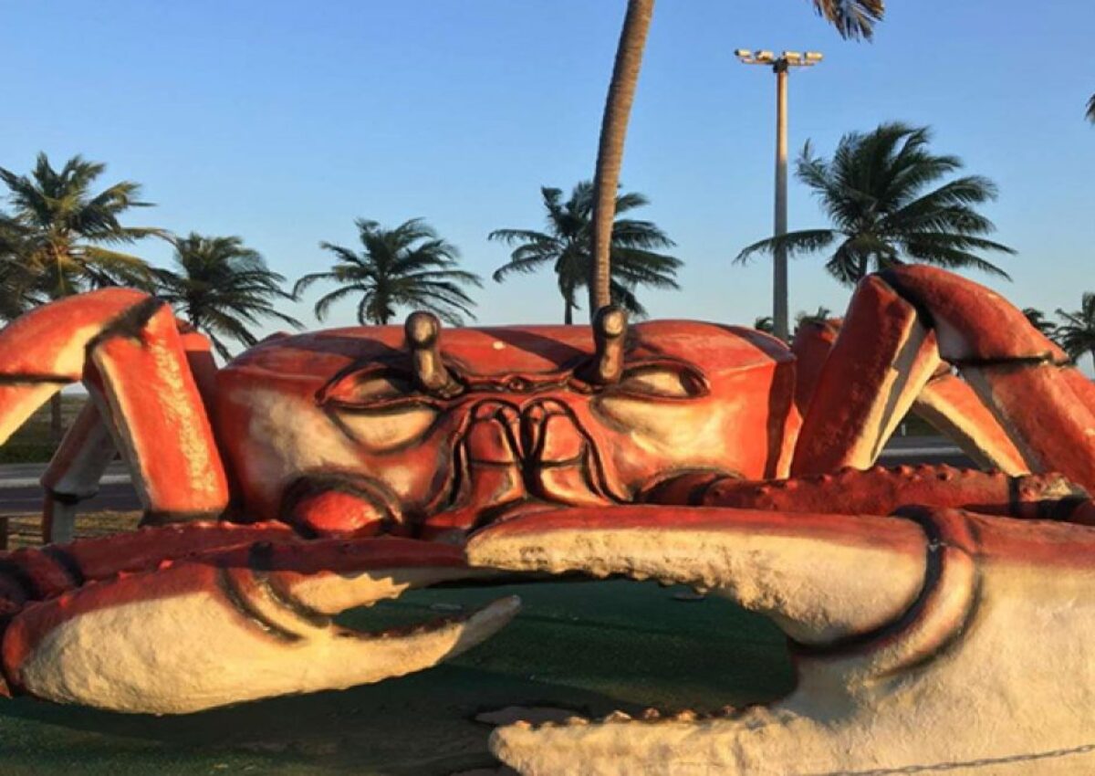 City Tour Histórico (saídas do Hotel Makai)