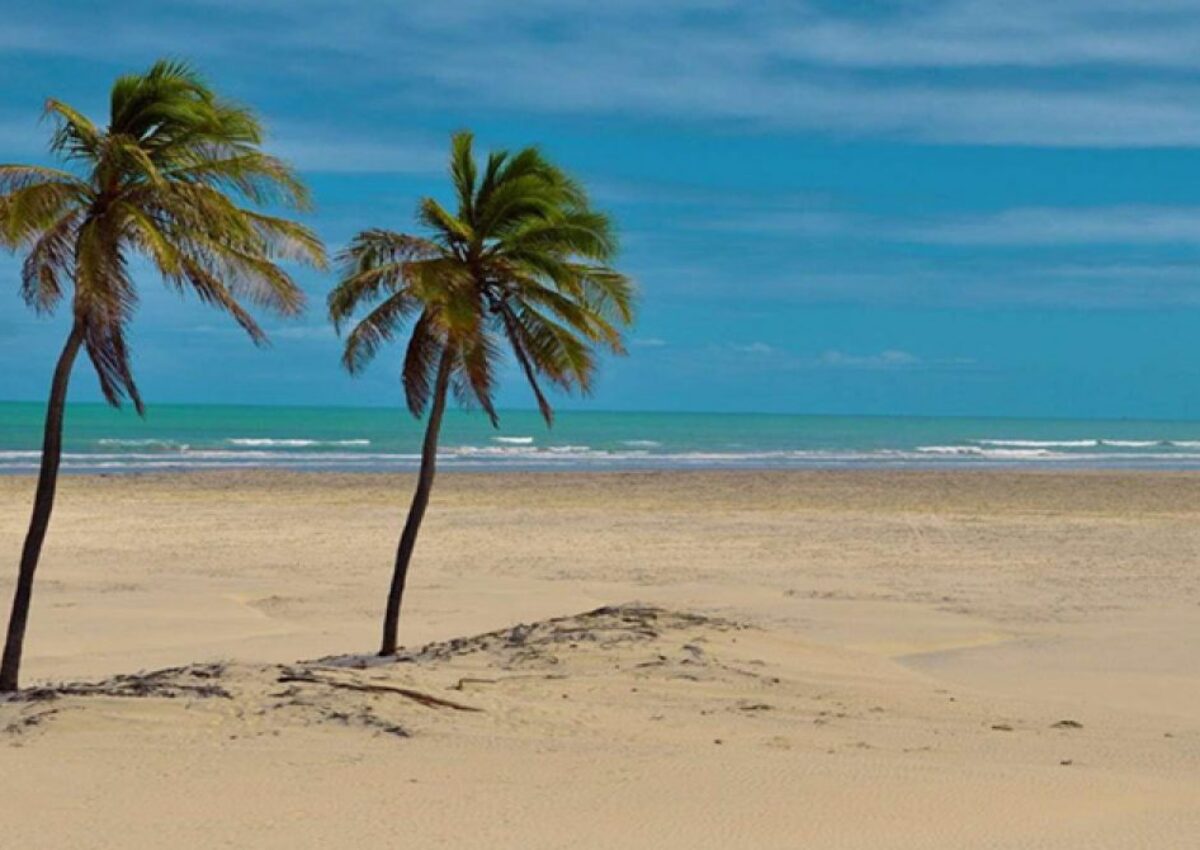 Passeio Mangue Seco (saídas de Aracaju e Hotel Makai)