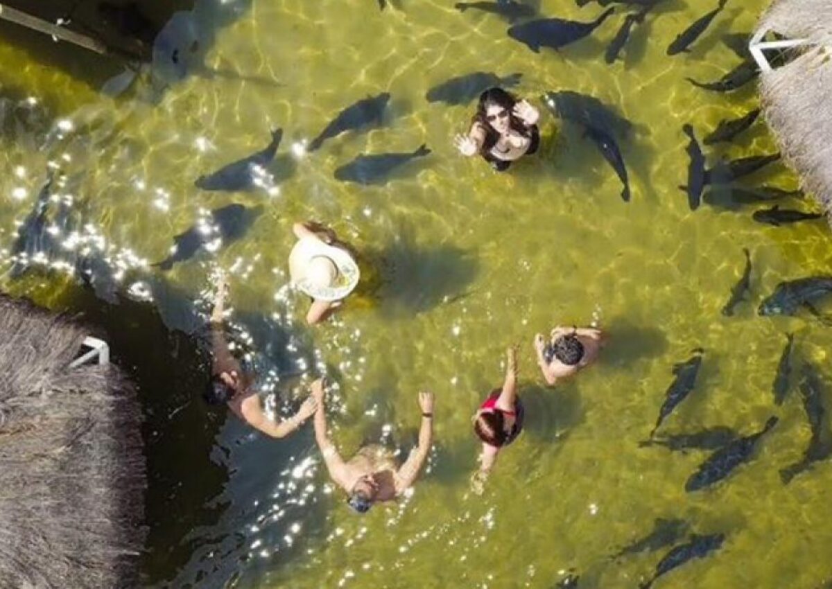 Passeio Lagoa dos Tambaquis (saída de Aracaju e Hotel Makai)