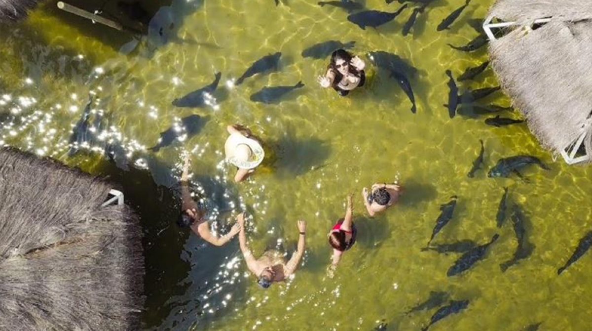 Passeio Lagoa dos Tambaquis (saída de Aracaju e Hotel Makai) Passeio Lagoa dos Tambaquis (saída de Aracaju e Hotel Makai)