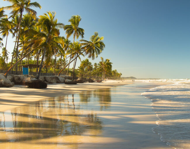 Litoral Norte | Bahia